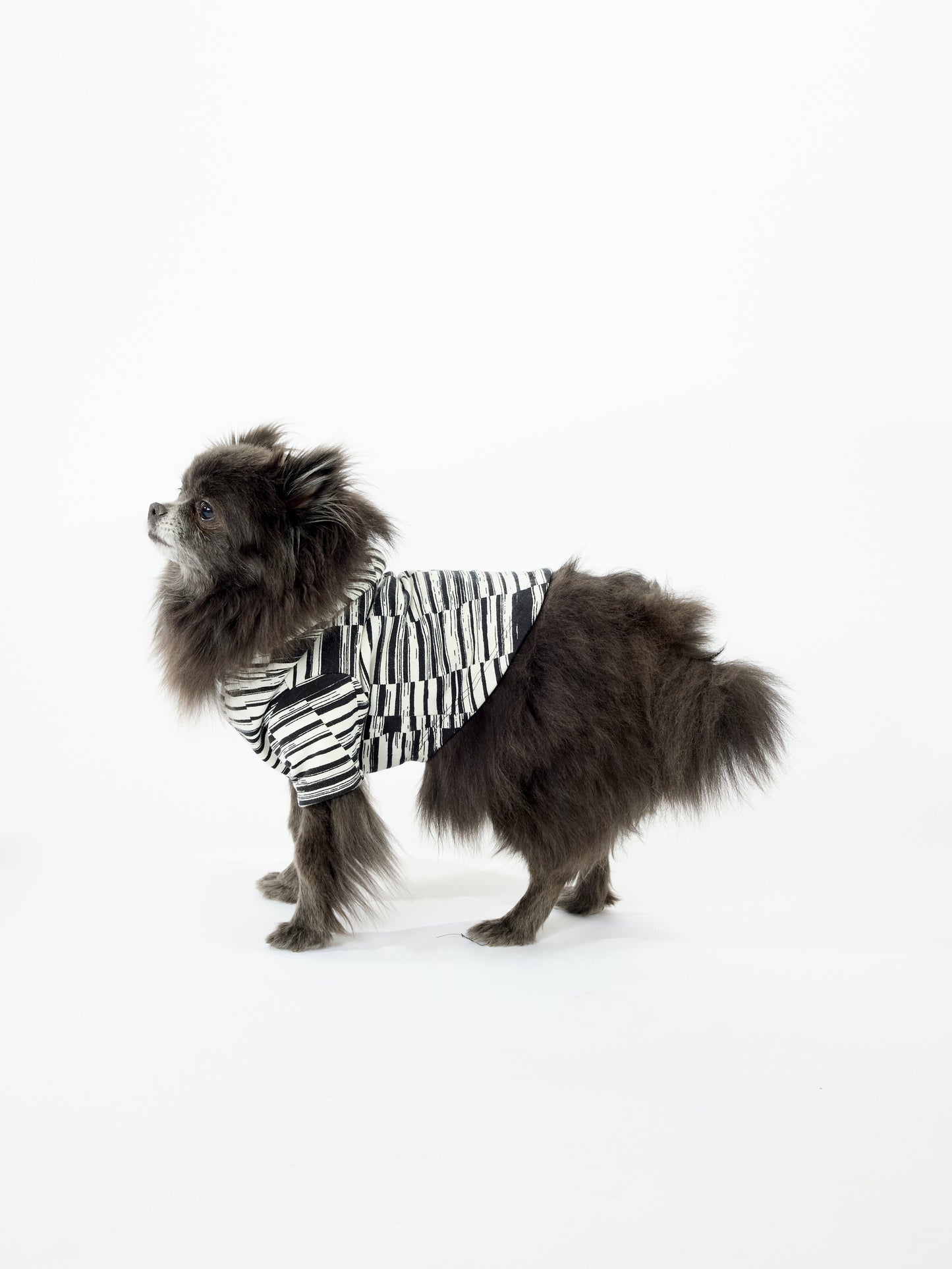 Howl Hoodie - Pleated Print  - Blue + Black