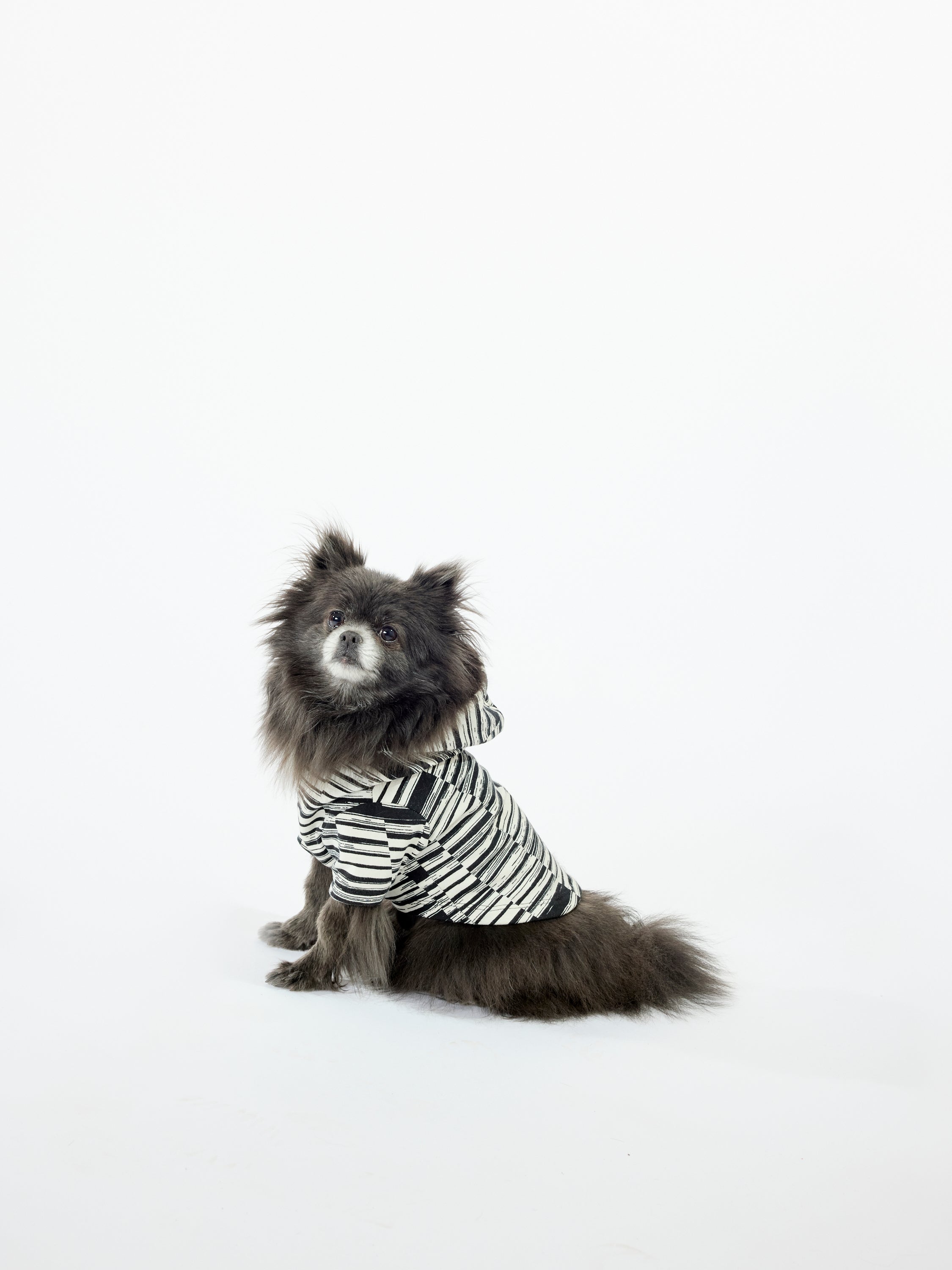Howl Hoodie - Moire Print - Copper + Black – Lobo Mau