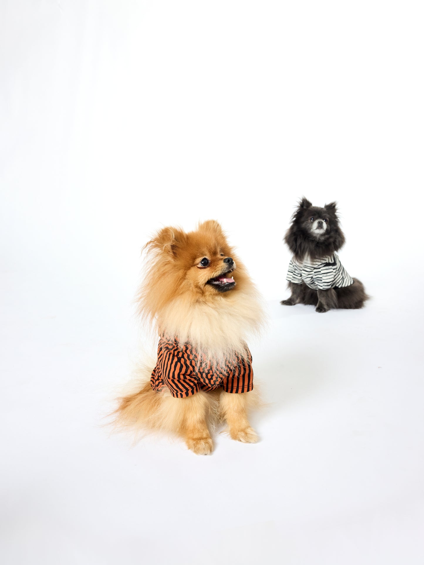 Howl Hoodie - Ink Dash in Black + Cream