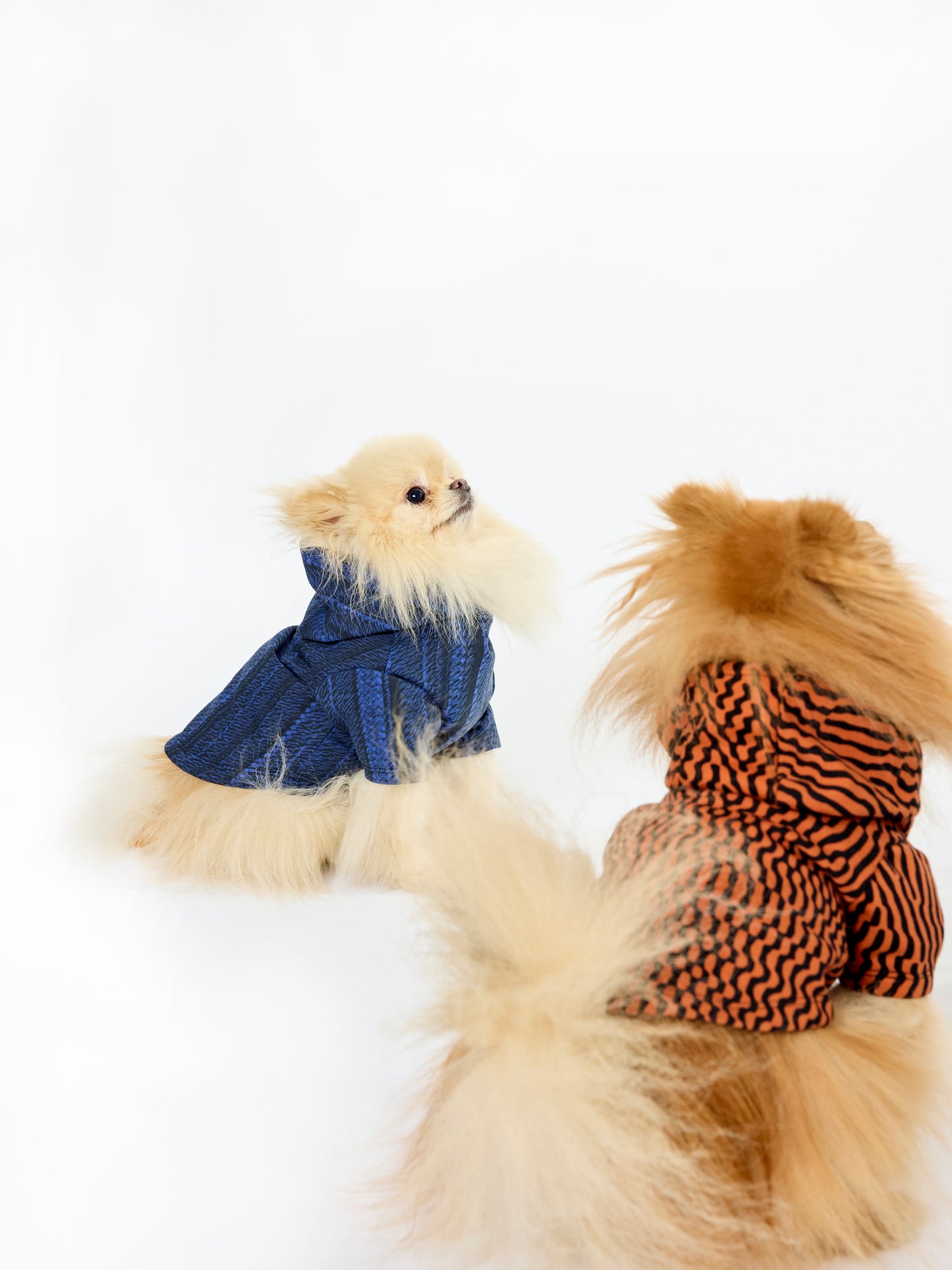 Howl Hoodie - Pleated Print  - Blue + Black