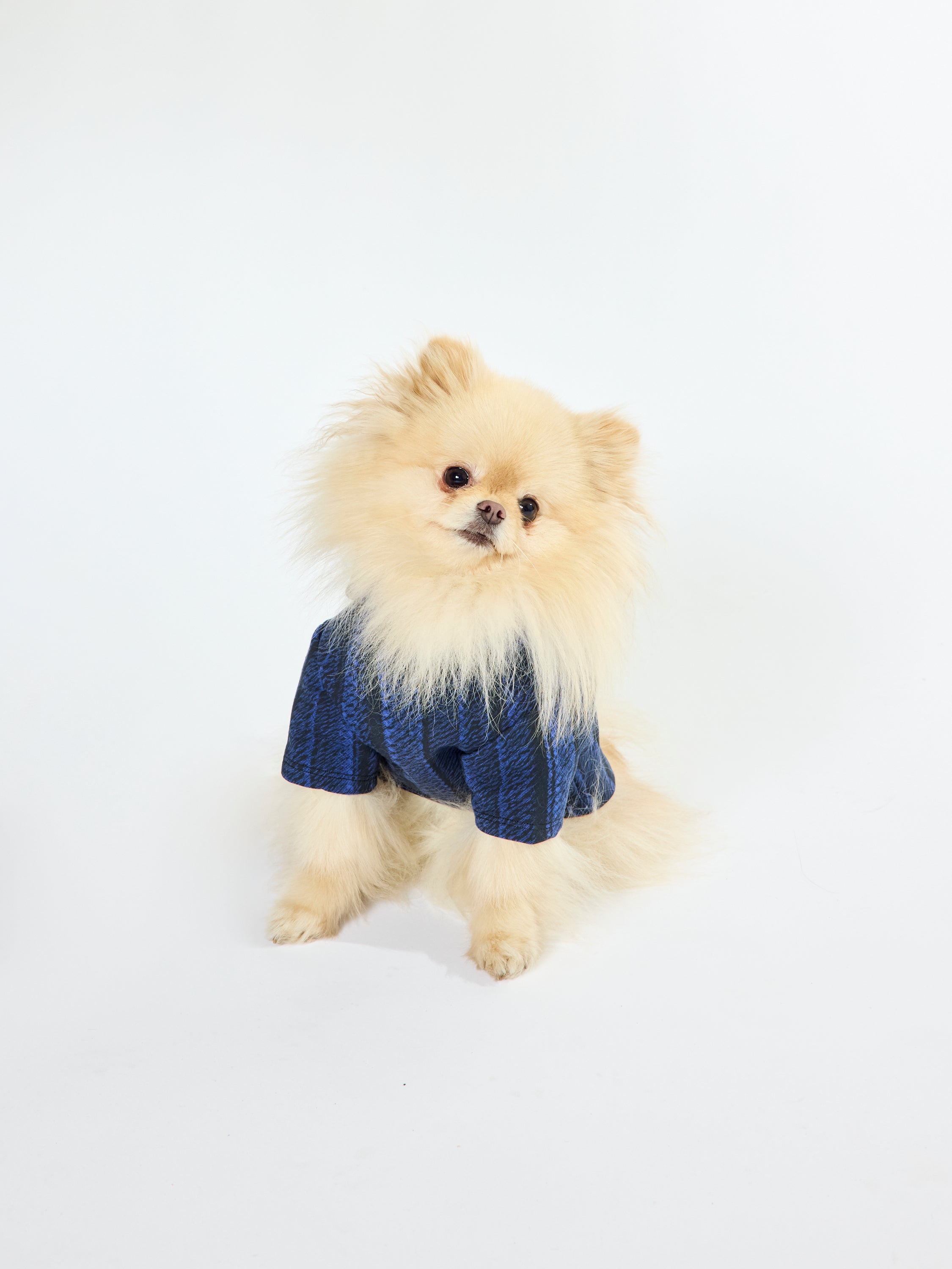 Howl Hoodie - Pleated Print - Blue + Black – Lobo Mau